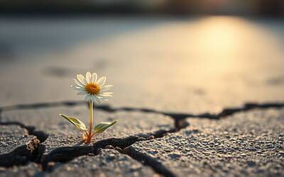 Costantino Vitagliano affronta la malattia: dichiarazioni di sofferenza e determinazione