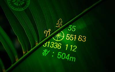 Fedez e il mondo della cartomanzia: verità e consigli sorprendenti sulla questione