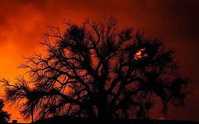 Incendio a Los Angeles provoca distruzione e paura tra i residenti della città