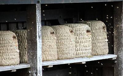 Barbara d’Urso oggi: nuova vita e progetti sorprendenti dopo la tv