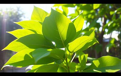 ChatGPT su WhatsApp: scopri come l'IA legge e interpreta le immagini per migliorare la tua esperienza comunicativa.