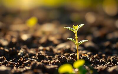 Fondi italiani per startup: investimenti e numeri da conoscere assolutamente