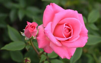 Martina De Ioannon racconta la sua rivincita dopo Temptation Island e Uomini e Donne