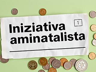 Partiti svizzeri e la spesa sotto 1 milione CHF per il voto ambientale di febbraio