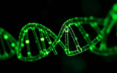 Tumore al colon nei giovani under 50 in crescita cause e prevenzione contro la tossina nascosta