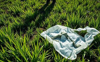 Eni e Novamont sanzionate: 32 milioni per abuso di posizione dominante nel mercato dei sacchetti di bioplastica