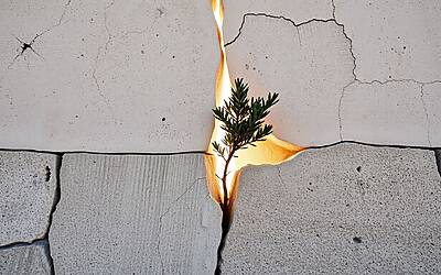 Kallas critica Netanyahu: Israele deve difendersi ma le sue azioni superano i limiti della giustizia internazionale