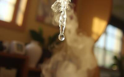 Legionella contagio e prevenzione dell’infezione polmonare legionellosi spiegati in dettaglio