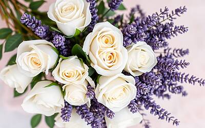 Deddy trova il nuovo amore: scopri chi è la sua fidanzata famosa e celebre