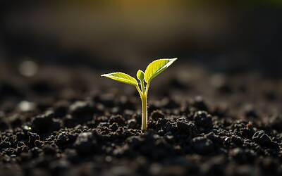 Finanziamenti start-up 2025 guida completa per ottenere fondi e investimenti per nuove imprese innovative