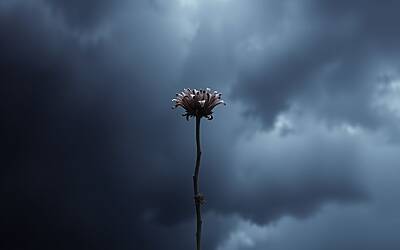 Barbara d’Urso racconta il dolore e la forza nel superare momenti difficili e cadute emotive