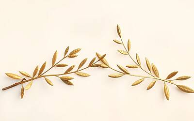 Belen e Cecilia Rodriguez unite in un nuovo progetto esclusivo per il 2024