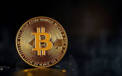 Guadagni di Trump con le crypto criptiche: scopri i profitti reali di Wlfi oggi