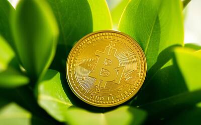 Binance US aggiornamenti cruciali dopo il supporto di CZ e nuove valutazioni di mercato fino a USD1