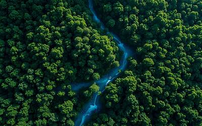 Google Earth con Intelligenza Artificiale Potenziata per Risposte Immediati e Precise nelle tue Ricerche Geografiche