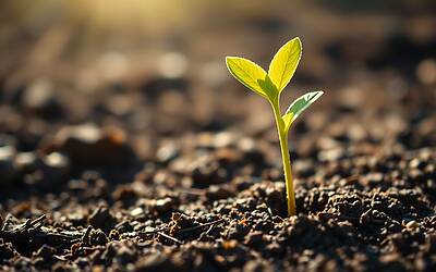 Investire in startup innovative nuove opportunità di crescita e successo nel mercato attuale