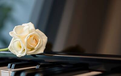 VIP italiani celebri ai funerali di Ornella Vanoni elenco completo e dettagli esclusivi