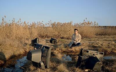 Decreto Milleproroghe: scoperte inaspettate tra multe, immunità penale medici e novità 2025