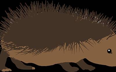 Mettere le foto dei figli sui social: controversie tra Francesco Sarcina e Clizia Incorvaia dopo la rottura