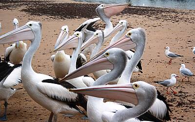 Olly: ritorno a Sanremo 2026 con la proposta di Carlo Conti per il palco più ambito