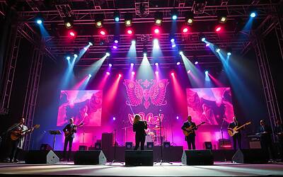 Programmi TV più visti 2025: la classifica Auditel che svela sorprese e flop dell'anno