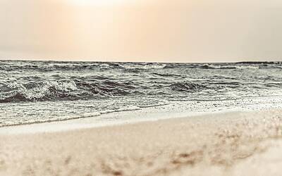 Alfonso Signorini svela il lato etico del freddo: niente scorciatoie, solo verità che pungono