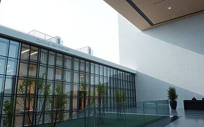 Criptovalute in corsa: utilizzo ai massimi storici mentre i prezzi crollano nel quarto trimestre