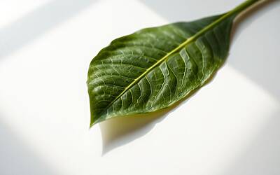 Giaele De Donà shock: denuncia l’insegnante, racconto choc di una presunta droga e tradimento di fiducia