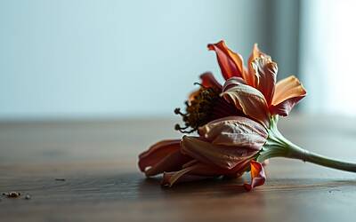 Gianni Sperti a Verissimo svela tutto: droga, amori segreti e il vuoto lasciato da Paola Barale