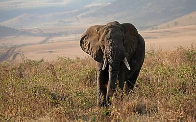 Tumore: nutrizionista svela quattro alimenti da consumare con prudenza oltre al prosciutto cotto cancerogeno