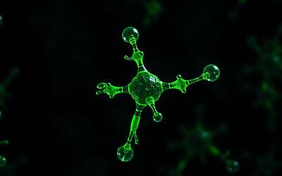 Alexei Navalny, cinque Paesi accusano la Russia di omicidio con epibatidina