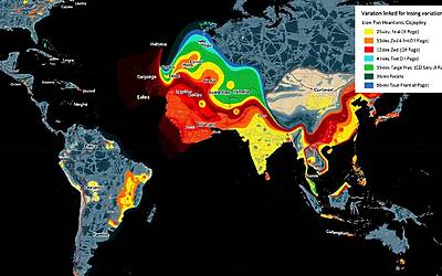 Dna umano, scoperti legami chiave con pressione alta e colesterolo
