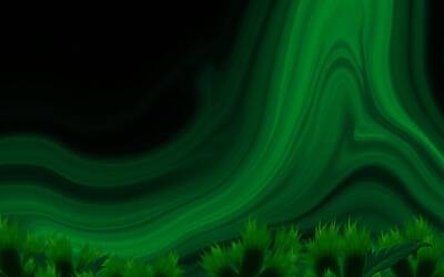 Latini spinge per legge che vieta social agli under 15