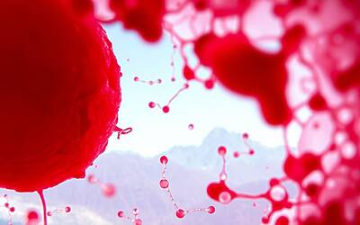 Montagna e diabete, perché l’altitudine può proteggere la salute