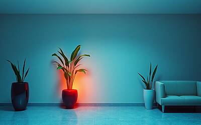 Vannacci tra virilità ostentata e insicurezza nascosta, studio sorpreso