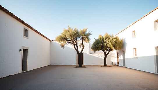 Bruno Vespa avrebbe chiesto a Daniela Santanchè di evitare la masseria