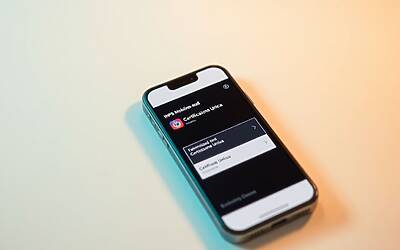 Certificazione Unica Inps online guida pratica per scaricare la CU