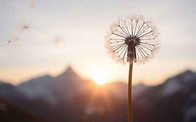 Chiara Costanzo ispira le Borse di Sogno a Crans-Montana per sostenere nuovi talenti