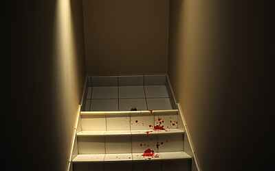 Garlasco, nuova perizia ribalta il delitto: Chiara Poggi avrebbe lottato a lungo con l’assassino