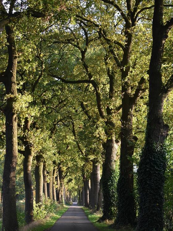 Lobby digitali orientano il voto sfruttando l’ecosistema di Instagram