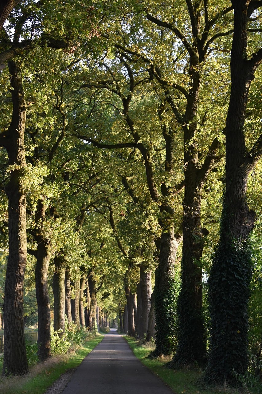 Lobby digitali orientano il voto sfruttando l’ecosistema di Instagram