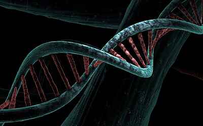 Marzio Capra contesta il genetista Linarello sul caso Garlasco e rilancia dubbi sulla perizia scientifica