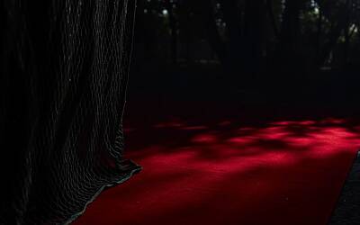 Oscar oscurati dalla guerra, ombre e tensioni sul red carpet