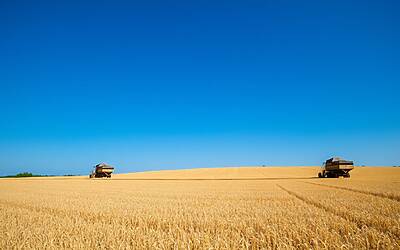 Siccità e costi energetici aggravano la crisi idrica e mettono in ginocchio le aziende agricole del Mezzogiorno