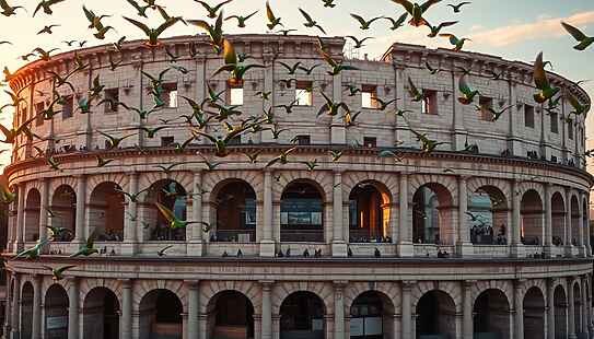 Parrocchetti a Roma allarme degli esperti per la proliferazione incontrollata e i rischi per biodiversità