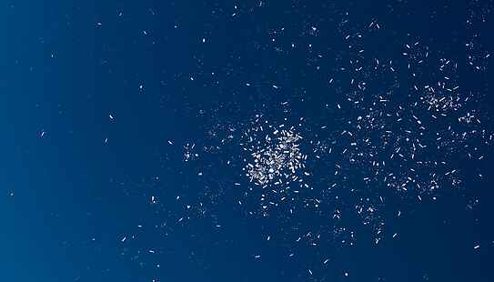 Intelligenza artificiale rivoluziona il monitoraggio oceanico e accelera la tracciabilità della plastica dispersa