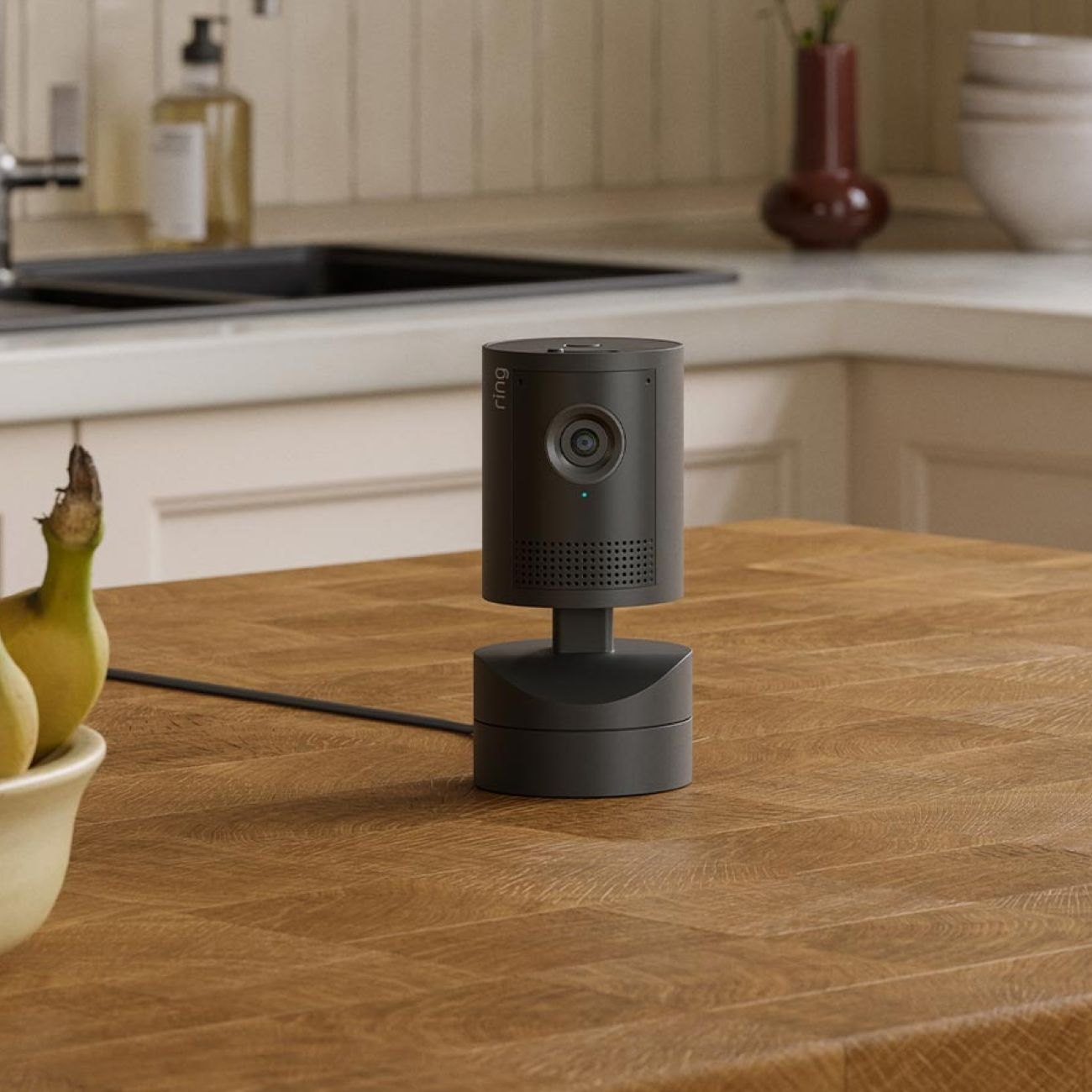 Pan Tilt Indoor Camera